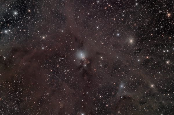 NGC1333: the Embryo nebula